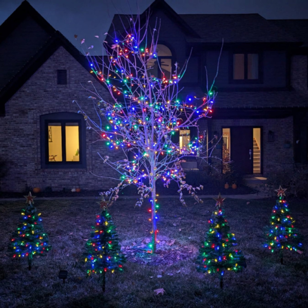 Frosty's Mini Christmas Trees